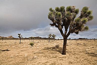 指向点击类推理悬疑游戏《泰晤士河上的鲜血》现已正式推出 获好评